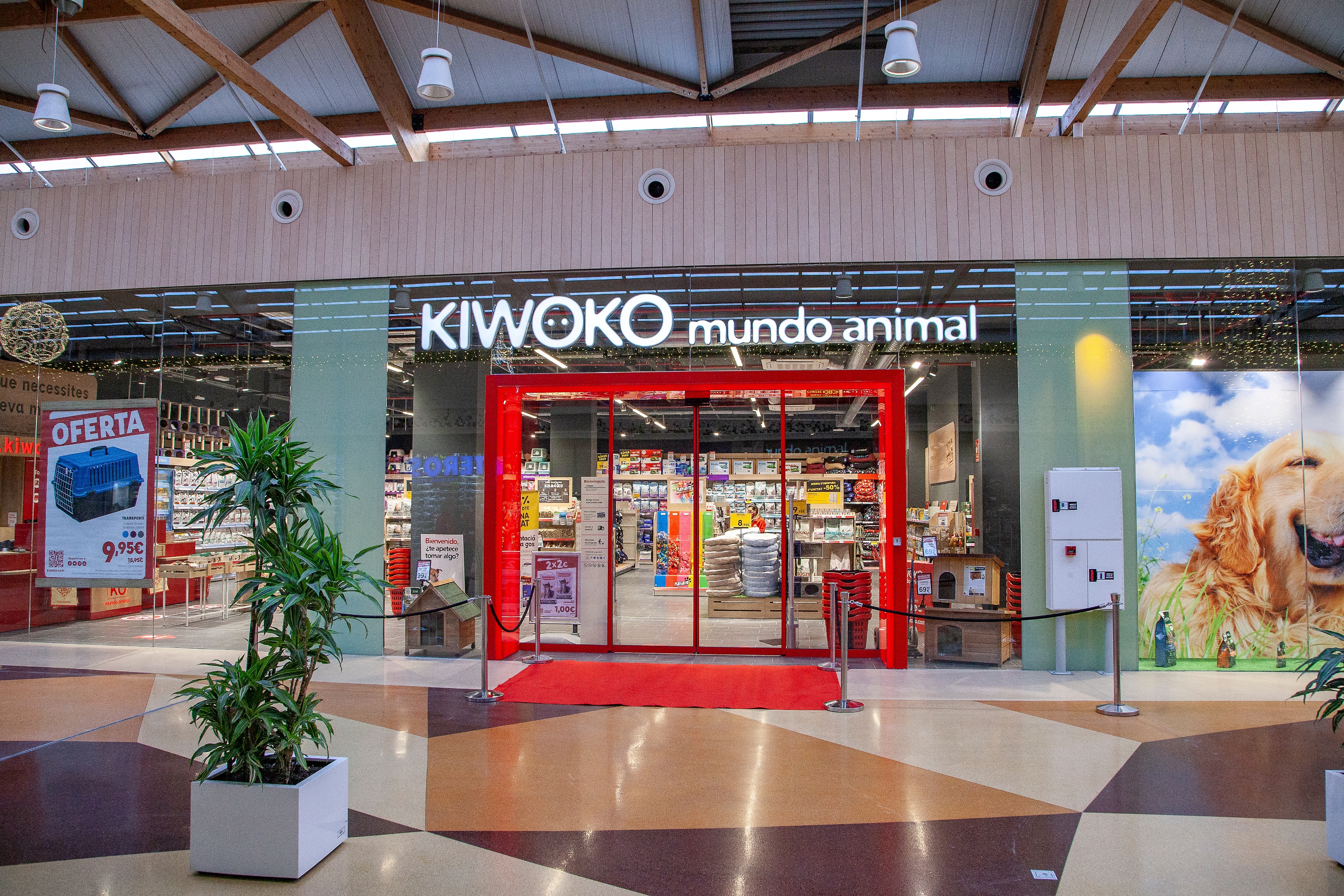 Kiwoko Barcelona Barnasud