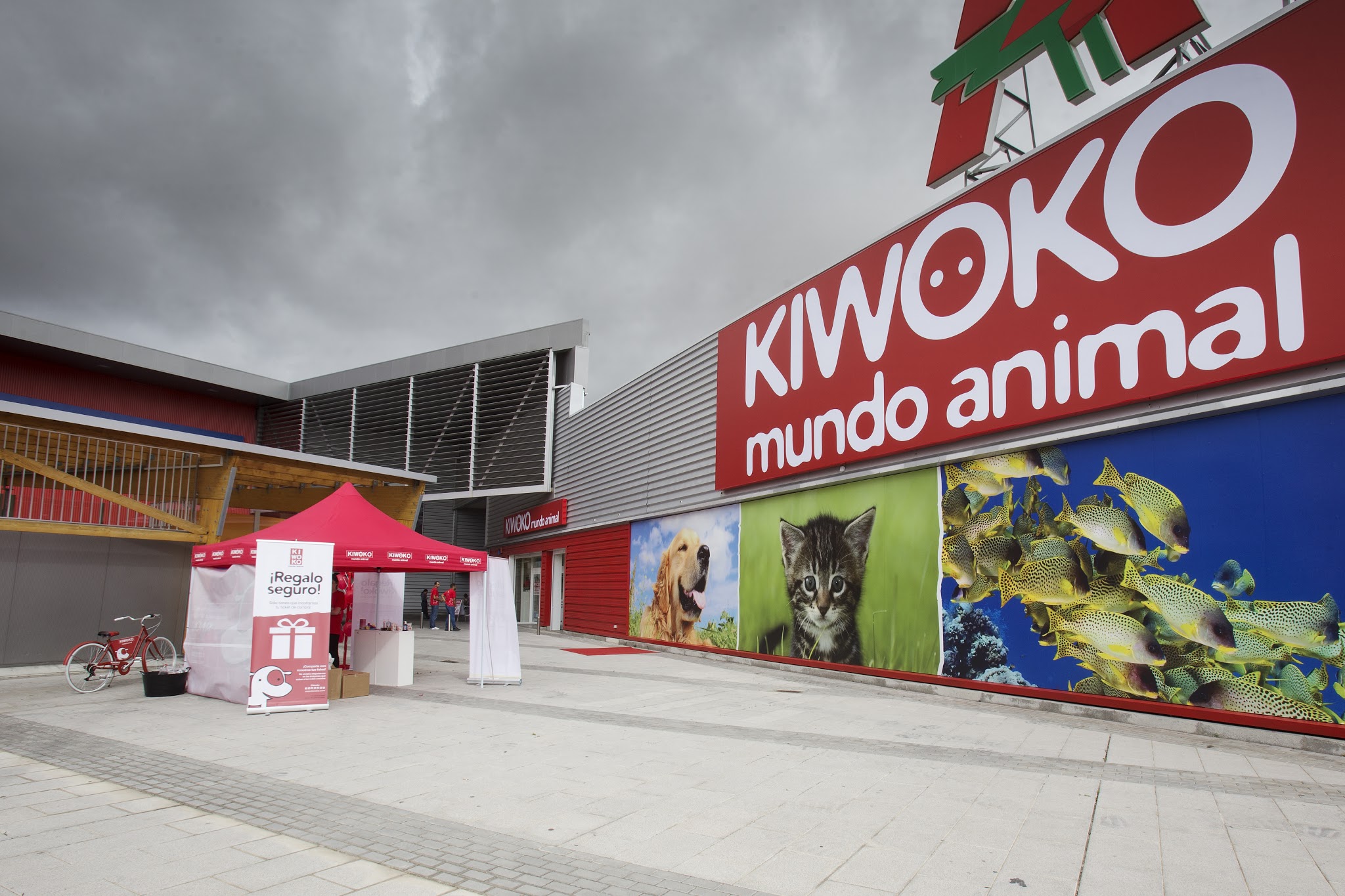 Kiwoko Sevilla Aleste