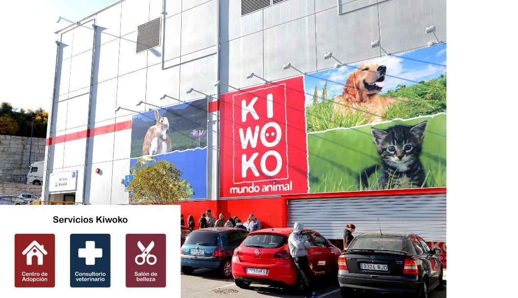 Kiwoko Vigo Meixueiro